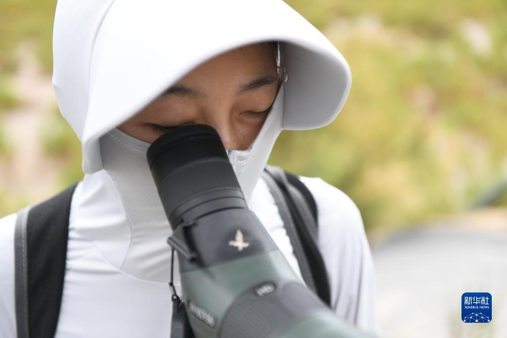 永利手游直营